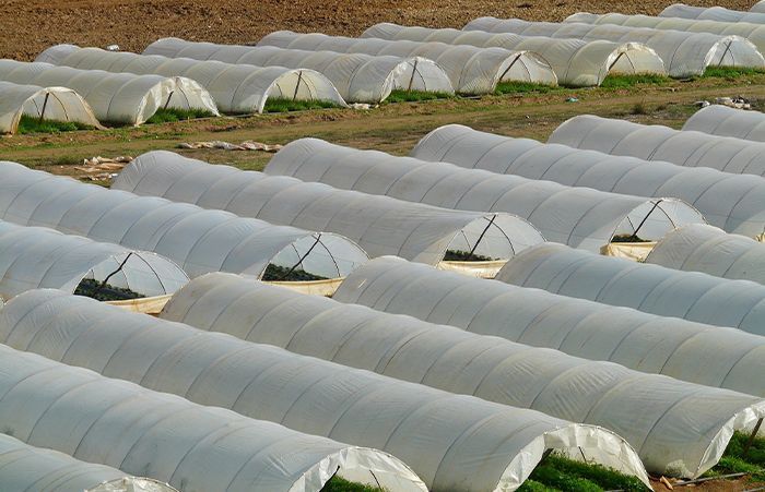 Blanchiment de serre par drone agricole